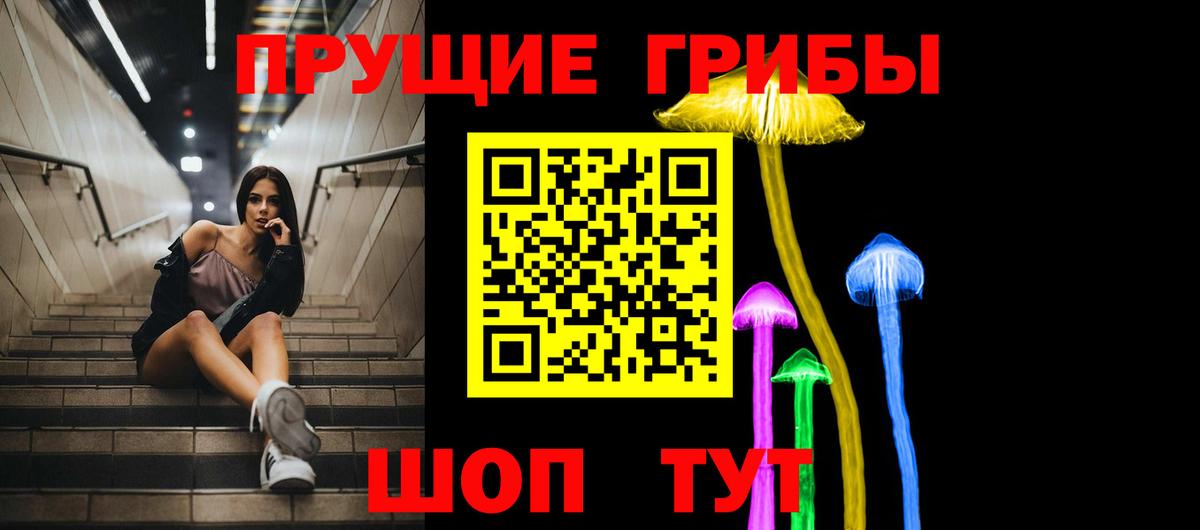 Галлюциногенные грибы Psilocybe Люберцы